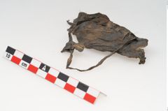 Foto von Rohhaut (NHMW-PRAE-125696)